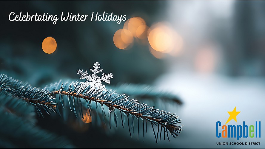 Photo of snowflake on a pine tree
