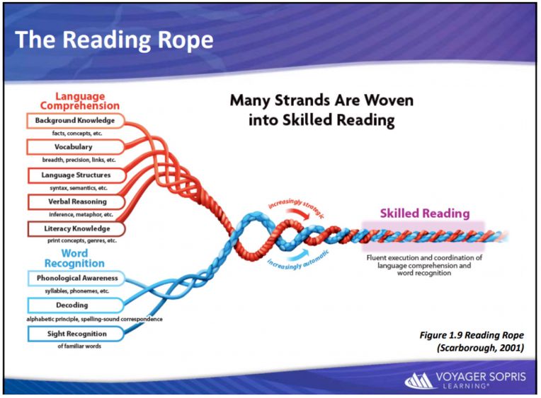 diagram showing the strands of learning to read